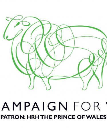 Campaign for Wool