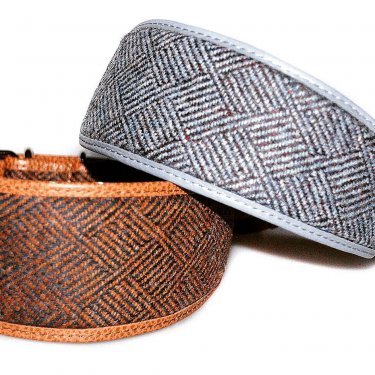 dog moda collar