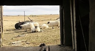 Hebrides Barn (shed) Find