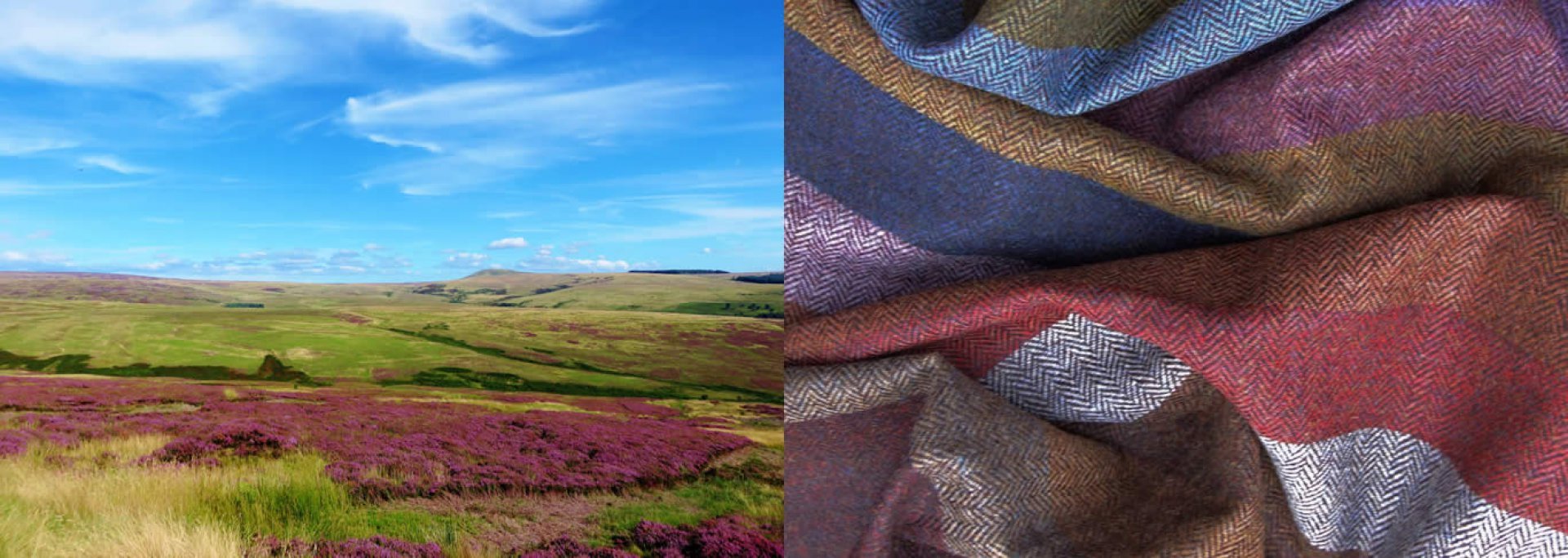 tarras tweed summers splendour